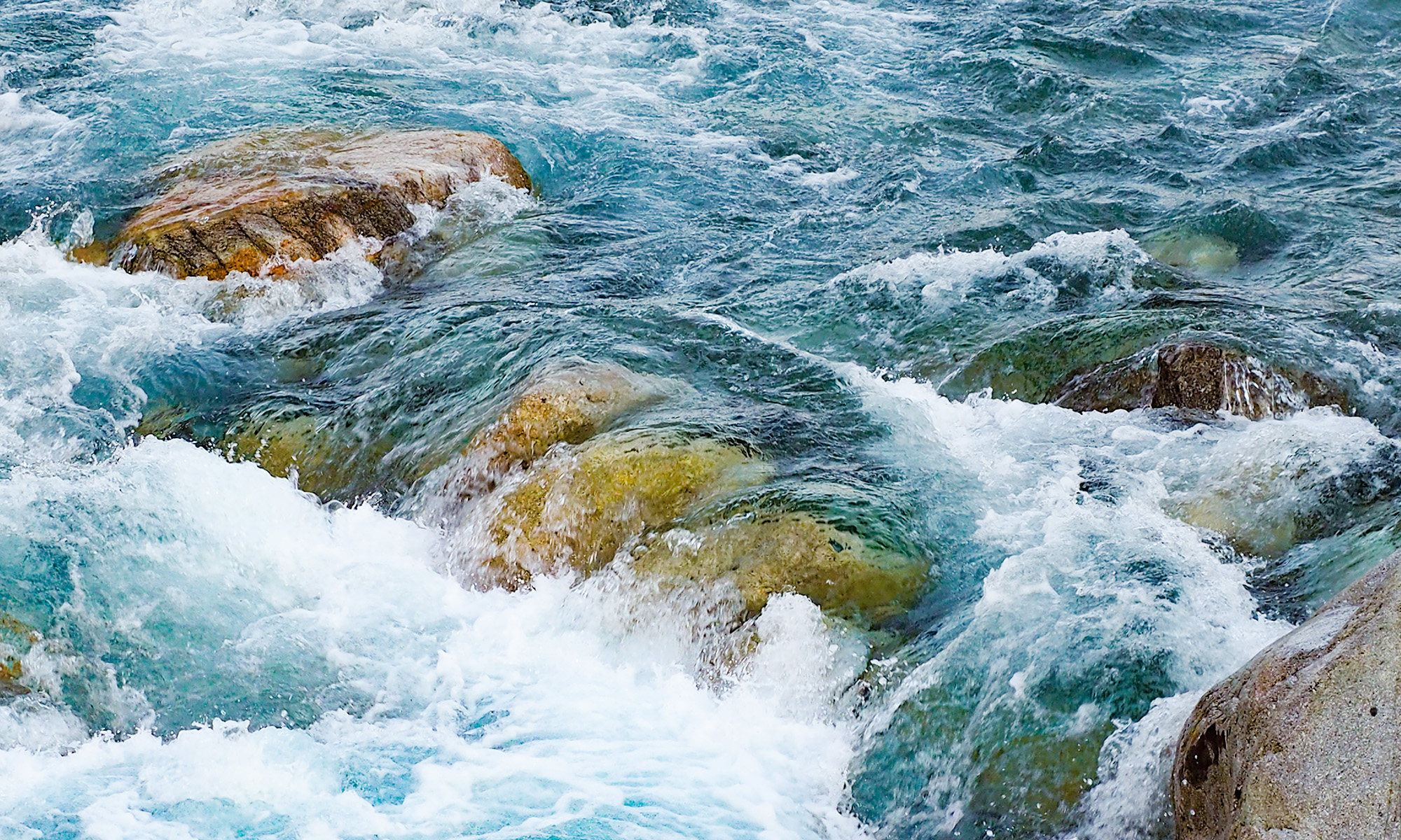 北アルプスの名水